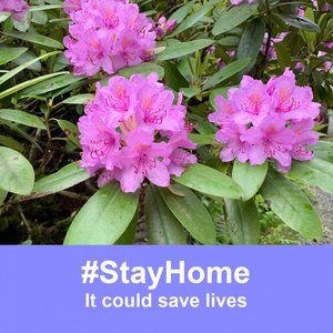 Meet your Posher, Junie